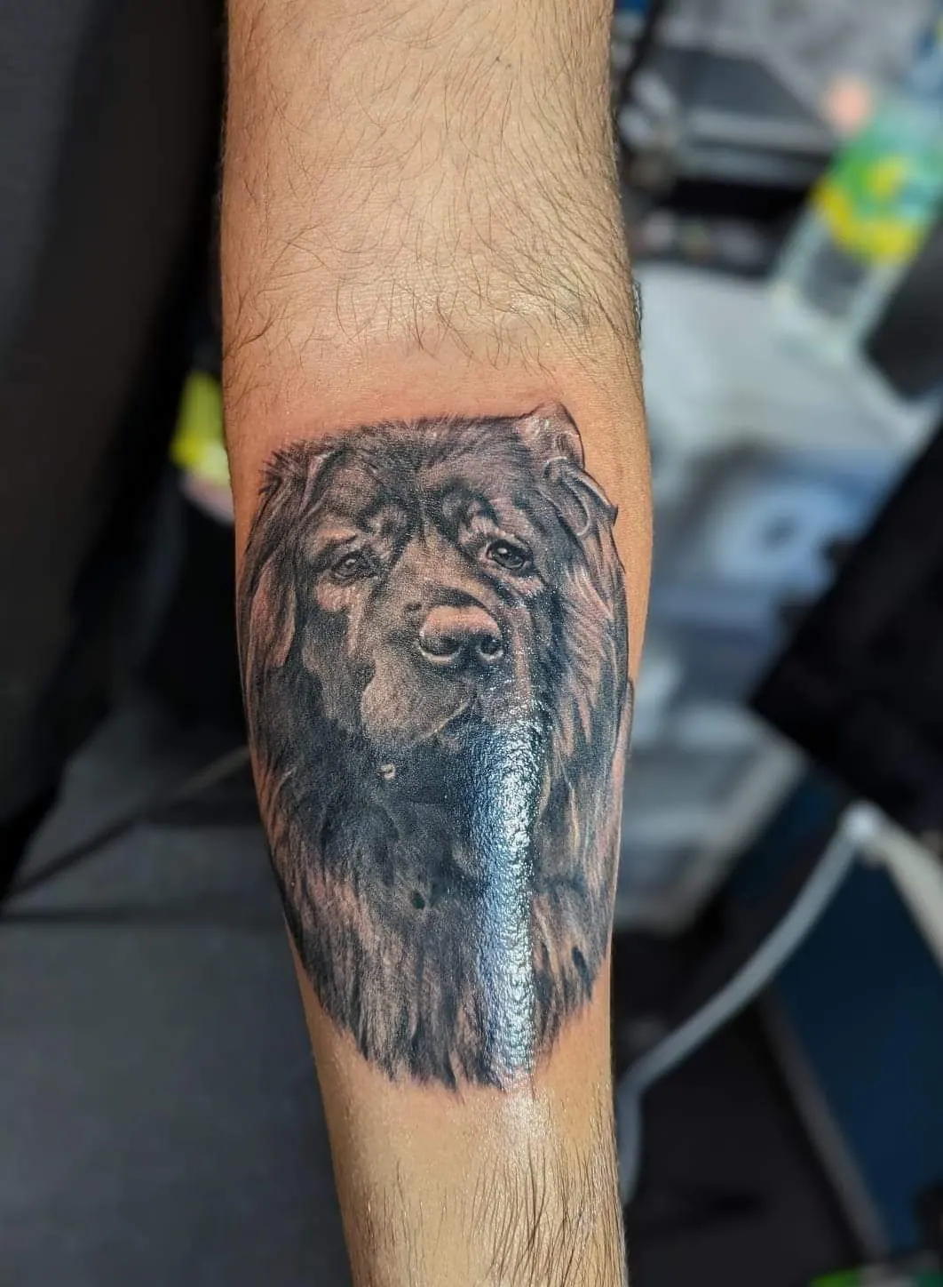Black and Grey Realism Tattoo Blog – tattoo, Walsall